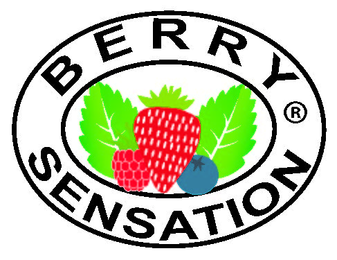 Berry Sensation